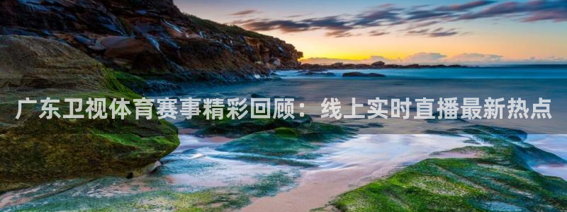 熊猫体育：广东卫视体育赛事精彩回顾：线上实时直播最新热点
