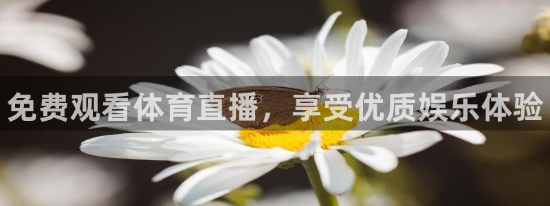 熊猫app直播：免费观看体育直播，享受优质娱乐体验