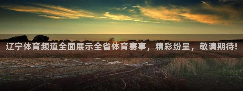 直播 熊猫：辽宁体育频道全面展示全省体育赛事，精彩纷呈，敬请期待!