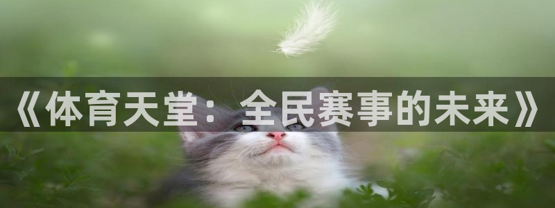 熊猫熊猫歌曲：《体育天堂：全民赛事的未来》