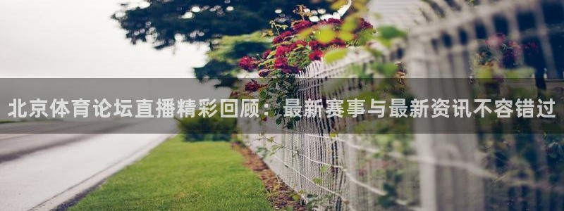 熊猫跳舞视频：北京体育论坛直播精彩回顾：最新赛事与最新资讯不容错过