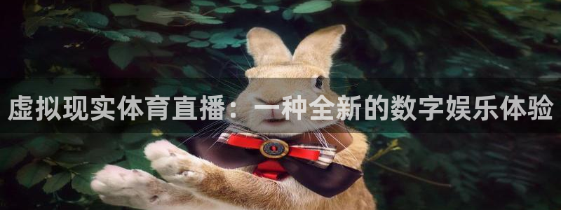 熊猫直播平台官网：虚拟现实体育直播：一种全新的数字娱乐体验