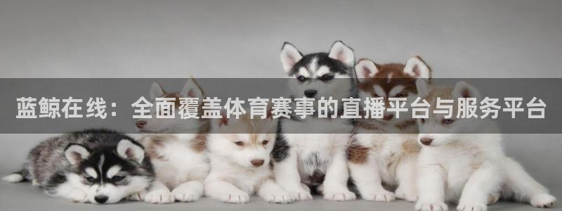熊猫杯足球直播：蓝鲸在线：全面覆盖体育赛事的直播平台与服务平台