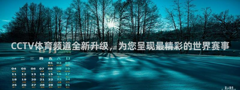 熊猫体育直播下载：CCTV体育频道全新升级，为您呈现最精彩的世界赛事